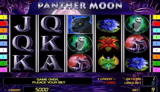 Panther Moon