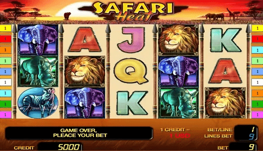 Safari Heat